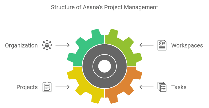 Structure of Asana's Project Management