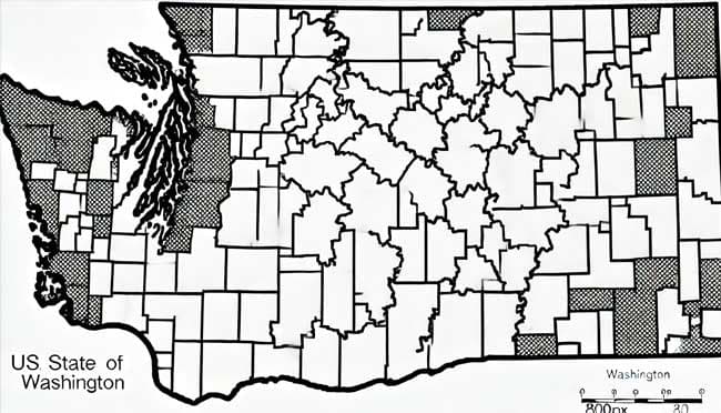 Washington State Labor Laws for Business Owners