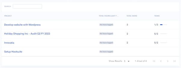Team member project assignments view