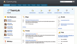 Managing remote workers with TeamLab