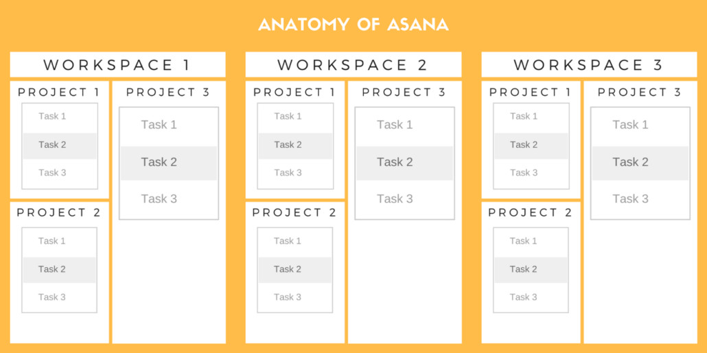 Asana Project structure The Anatomy of Asana