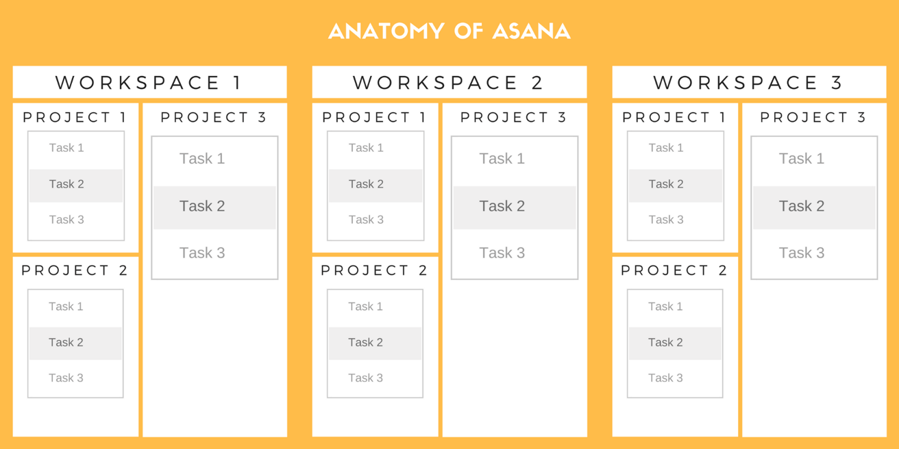 How workspaces are organized in Asana